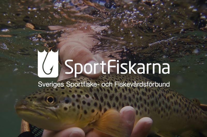 Case Sportfiskarna Logo