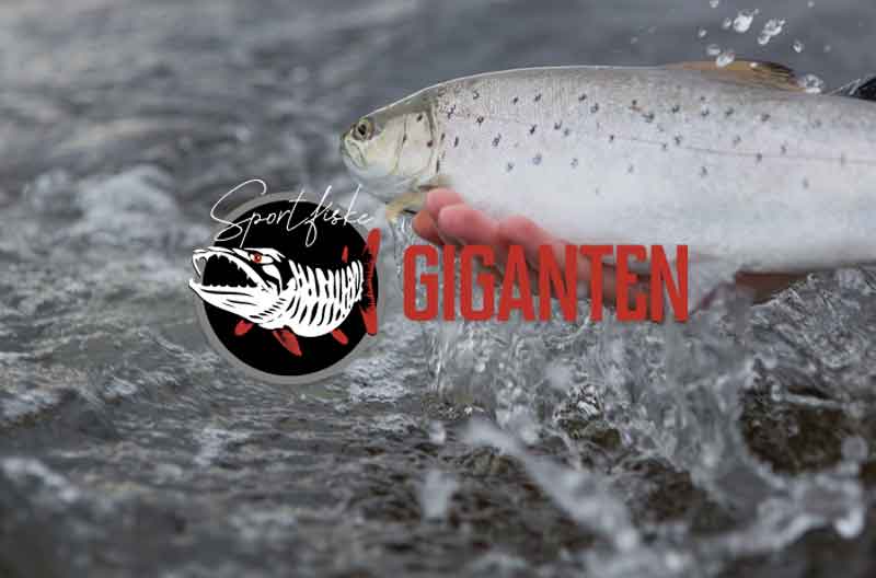 Sportfiskegiganten E Handel